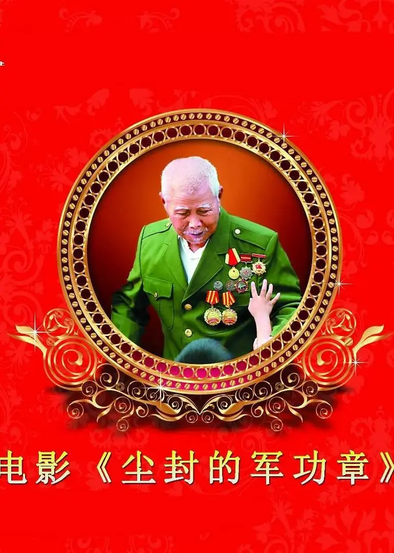 《尘封的军功章》：小人物的英雄史诗，揭秘被遗忘的时代，泪点满满！