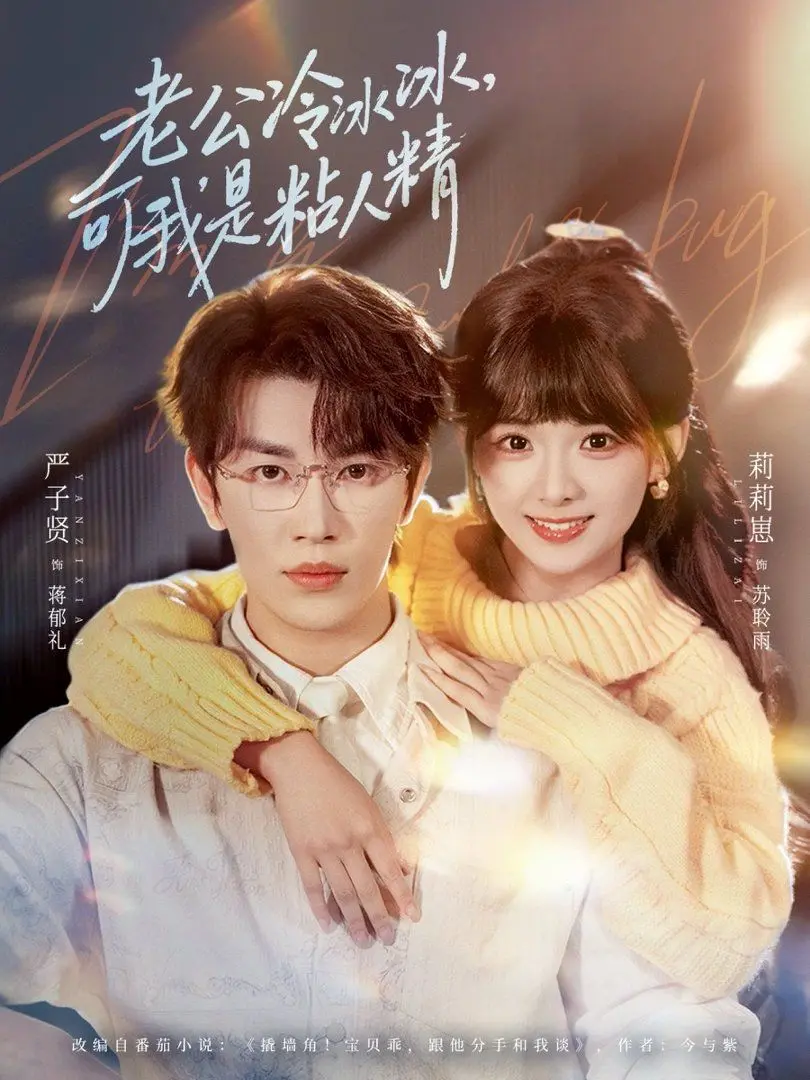 《老公冷冰冰可我是粘人精》：当冰山遇上融化糖，欢喜冤家开启甜蜜爆笑爱情之旅